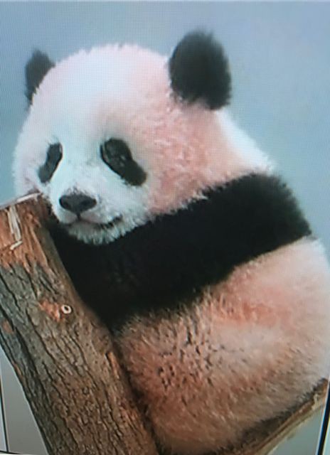 今日は何の日 Primaveraの訪れ