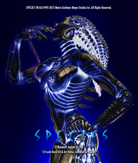 New Products : Roswell Japan Blog