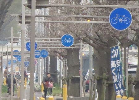自転車一方通行標識を見に行く : 国道系。