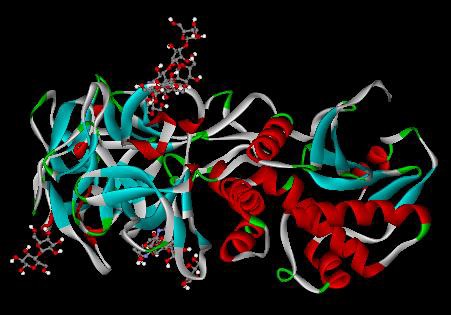 猛毒 リシンの横顔 有機化学美術館 分館