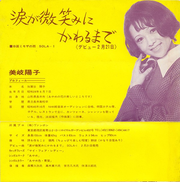 涙が微笑みにかわるまで : 中古レコ屋のあくび指南～のんびり音を聴き
