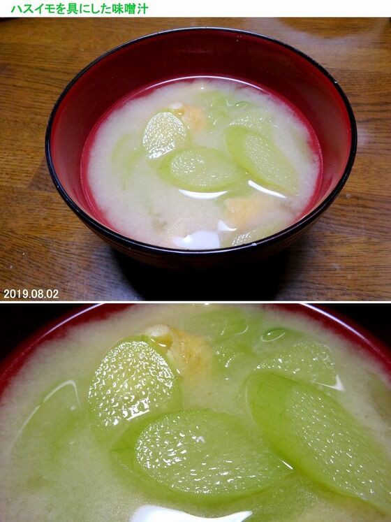 5091 ハスイモ 別名 リュウキュウ 山川草木 動物 歳時記