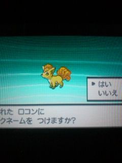 色違いロコン ゲットー しゃべる犬の小屋