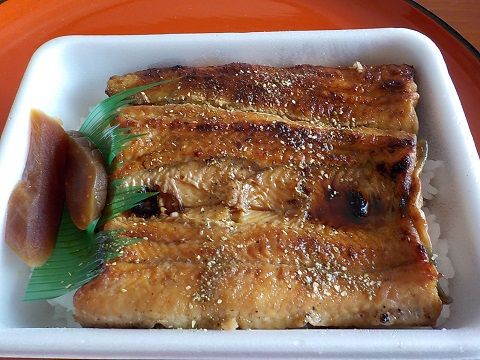 なかおの鰻弁当 帰ってきた 日々のあれこれ