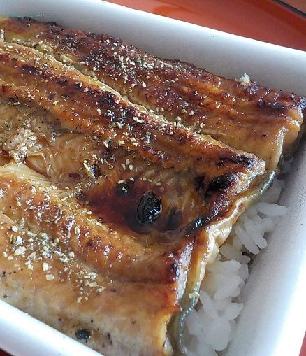 なかおの鰻弁当 帰ってきた 日々のあれこれ