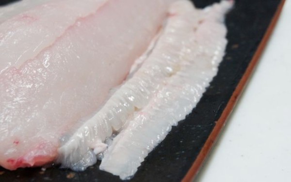 おエンガワ様その ヒラメのお造りとかおエンガワ様とか るぅのおいしいうちごはん Powered By ライブドアブログ