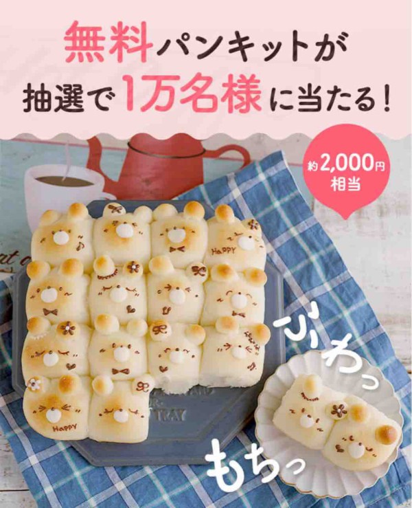 cotta】かわいいくまさんのちぎりパンが焼けるパンキット（2,000円相当