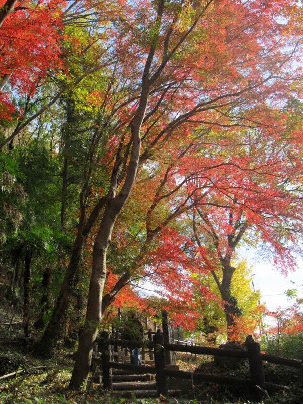 高津戸峡を歩きました！ : 赤城山が好き