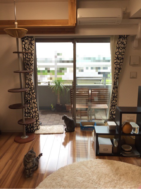 無印 MUJI カーテン（綺麗な片側） カーテンを片側に寄せました。 : ね