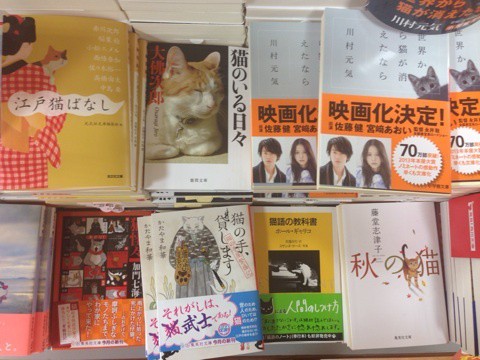 猫本ブーム ねころぐ にゃんごくlife クアラルンプール Powered By ライブドアブログ