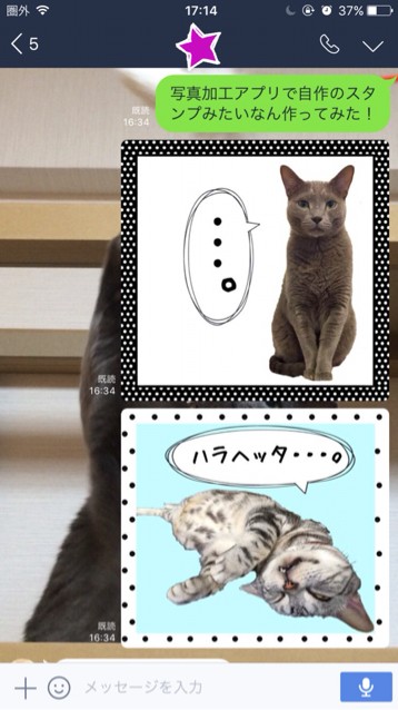 写真加工アプリでlineスタンプ風を作ってみました ねころぐ にゃんごくlife クアラルンプール Powered By ライブドアブログ