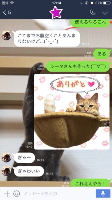 写真加工アプリでlineスタンプ風を作ってみました ねころぐ にゃんごくlife クアラルンプール Powered By ライブドアブログ