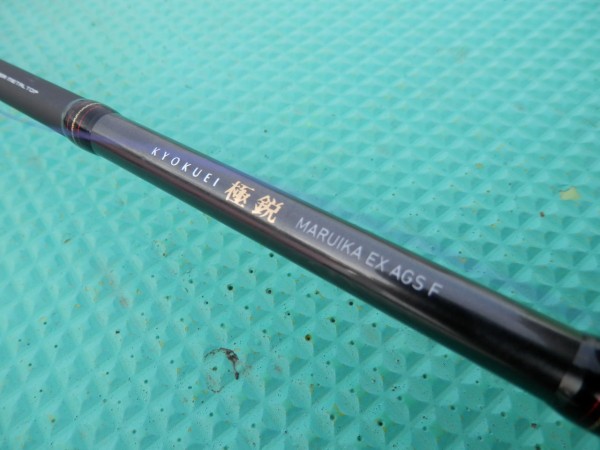 極鋭 マルイカEX AGS F 極鋭マルイカ EX AGS F : 林良一ブログ RYO'S METHOD