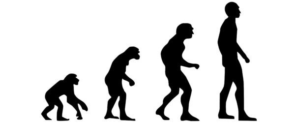 社会のなかの共存 でヒトの生存戦略を学ぶと 学び合い とつながった ある教師の365日