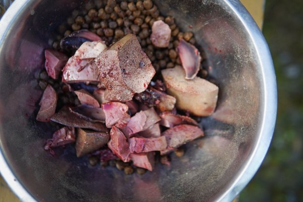 妊娠中 授乳期の食事 猟犬日誌