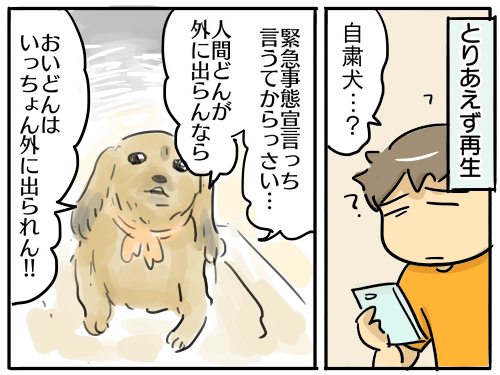 自粛犬 でここ最近で一番笑った話 筑後弁 新 規格外でもいいじゃない シングルマザーたまことゆかいな子ども達 Powered By ライブドアブログ