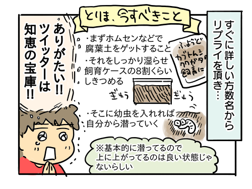 カブトムシの幼虫があらわれた 助けてフォロワーさん 新 規格外でもいいじゃない シングルマザーたまことゆかいな子ども達 Powered By ライブドアブログ