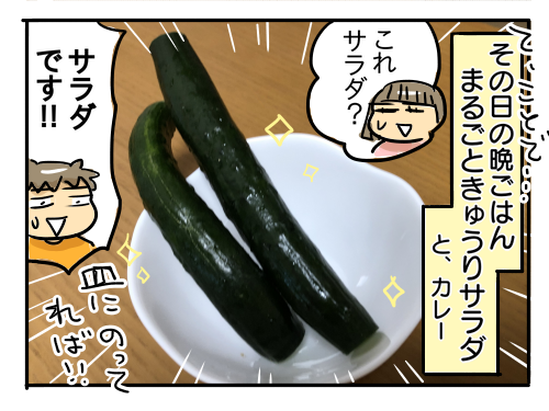 近況51 採れたてきゅうりのまるかじり 新 規格外でもいいじゃない シングルマザーたまことゆかいな子ども達 Powered By ライブドアブログ