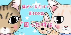 猫がいるだけで120話とシンク対策 : あんこと麦と Powered by