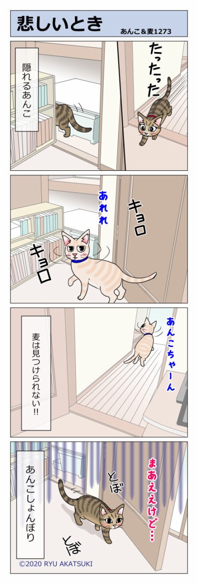 あんこ 麦1273 悲しいとき あんこと麦と Powered By ライブドアブログ
