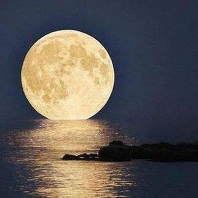 水面に映る月を愛でる 鹿児島 天文館 Bar Samsara バー サムサーラ Since 19