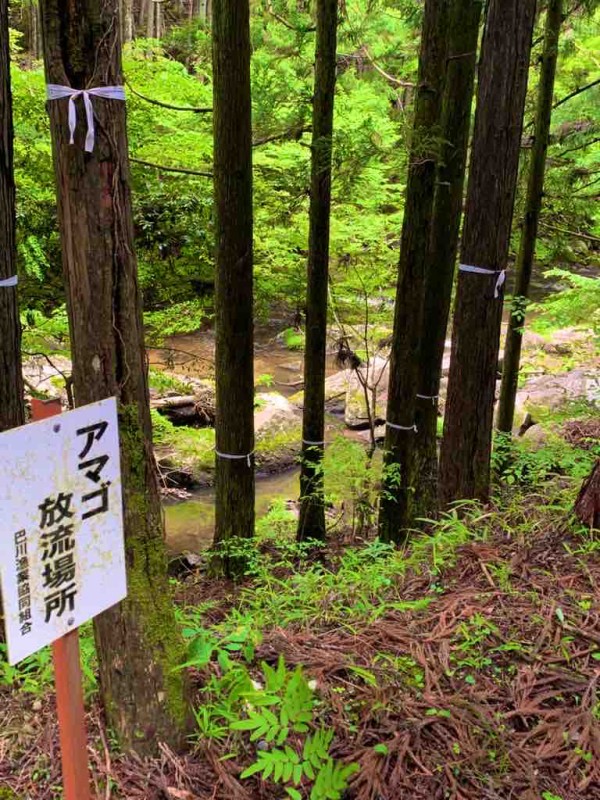 清流で泳ぐ子供たち　ジオラマ 清流で泳ぐ子供たち ジオラマ