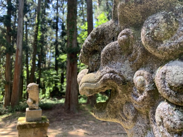 □🚙【福井県勝山市】苔むす聖地・平泉寺白山神社へ 久しぶりの夫婦旅
