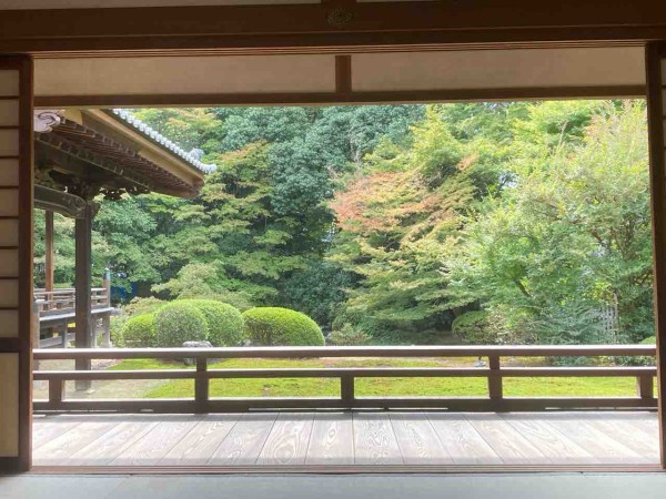 □『随心院』小野小町ゆかりの庭園の美しい「穴場」的寺院（京都府京都