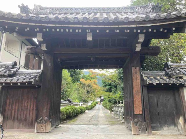 小野寺 脱炭素化への道筋を示し 地域のアクションを後押ししたい｜研究者