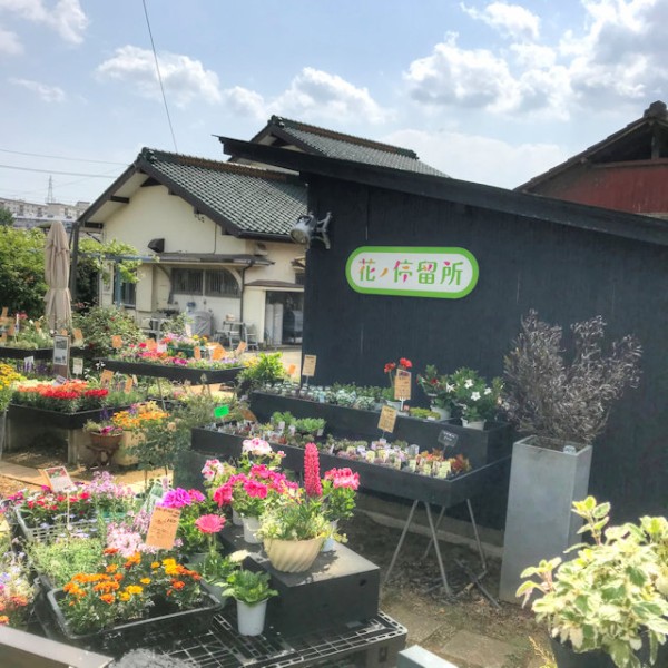 生田緑地 つれづれなるままに つれづれブログ