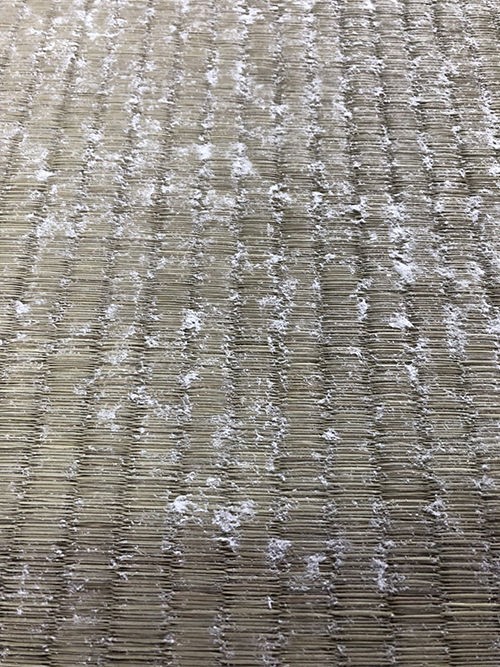 畳にカビが生えたのですが 何が原因ですか 櫻井畳店 Sakurai Tatami Com