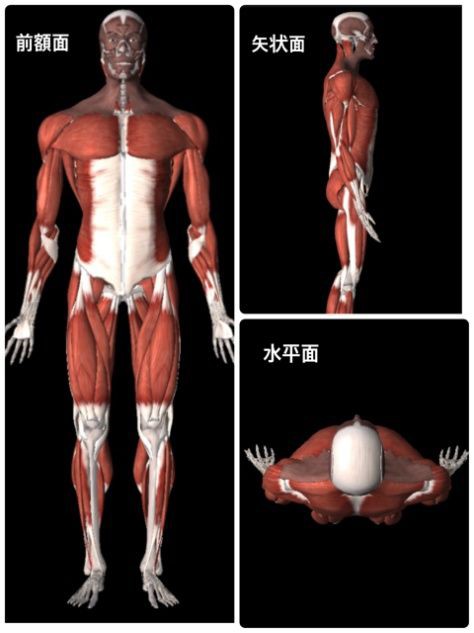 観察能力 前からみるか 横からみるか 上からみるか リハビリテーション科有床診療所のお仕事