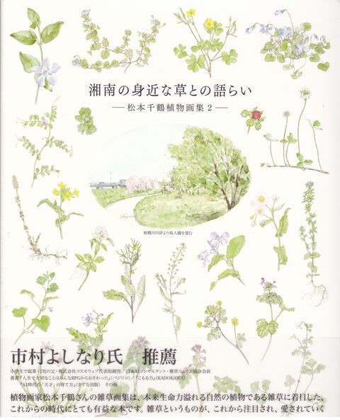 松本千鶴の2冊目の植物画集 湘南の身近な草との語らい ジョヴァンニッキ２