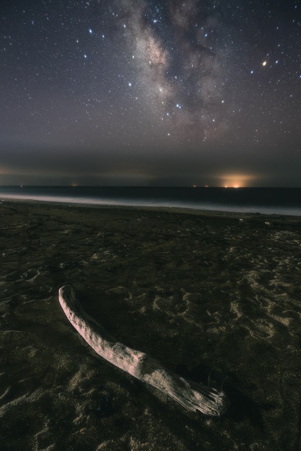 四万十川の流木お題 ： ドラゴンヘッド