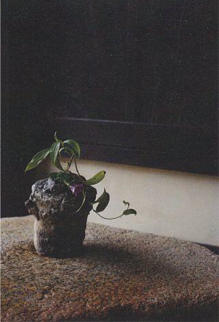 花屋みたてさんへ 旅するポジャギ