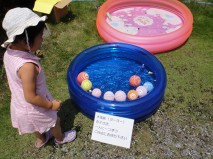 小島染織 藍染め市 羽生 やみっ 雑記帳