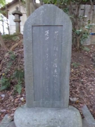 江の島 ～ 其の参 （児玉神社 ／ 神奈川県） : くぐる鳥居は鬼ばかり