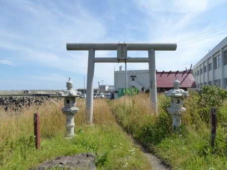 恵比須鮫