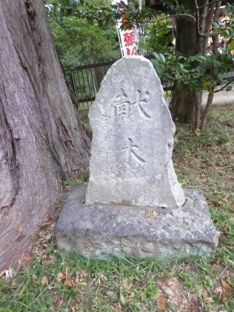 蒲生神社 （宇都宮市） : くぐる鳥居は鬼ばかり