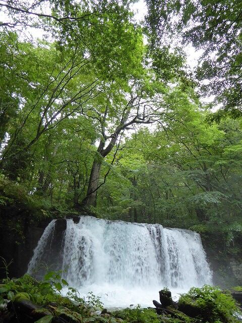 銚子大滝 （奥入瀬渓流） : くぐる鳥居は鬼ばかり