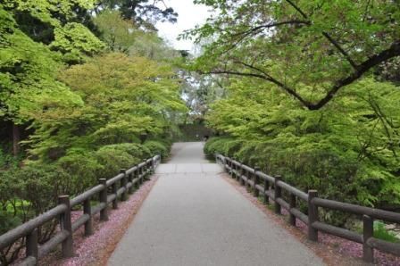 東内門 日本最古のソメイヨシノ等 弘前公園 弘前城 二の丸 くぐる鳥居は鬼ばかり