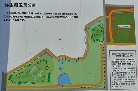 垂柳遺跡 （田舎館村） : くぐる鳥居は鬼ばかり