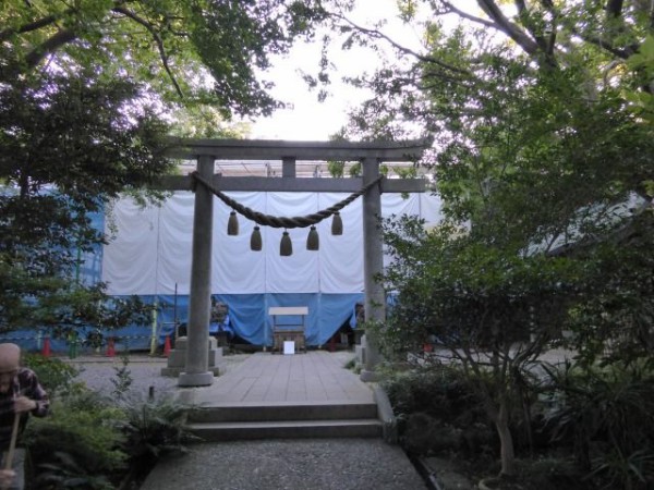 江の島 ～ 其の参 （児玉神社 ／ 神奈川県） : くぐる鳥居は鬼ばかり