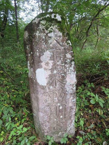 鳳鳴四十八滝 （青葉区） : くぐる鳥居は鬼ばかり