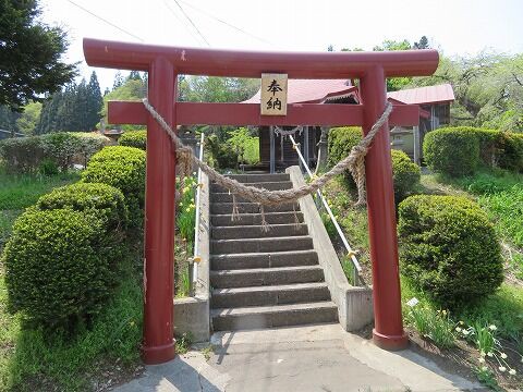 蒼前神社 ・ 槍沢の枝垂れ桜 （五戸町） : くぐる鳥居は鬼ばかり