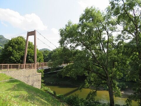 オロセの吊橋 （西和賀町） : くぐる鳥居は鬼ばかり