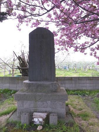 津軽忠臣之碑 ・ 田中太郎五郎戦死之跡 （平川市） : くぐる鳥居は鬼ばかり