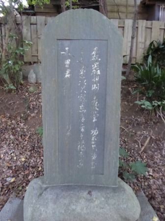 江の島 ～ 其の参 （児玉神社 ／ 神奈川県） : くぐる鳥居は鬼ばかり