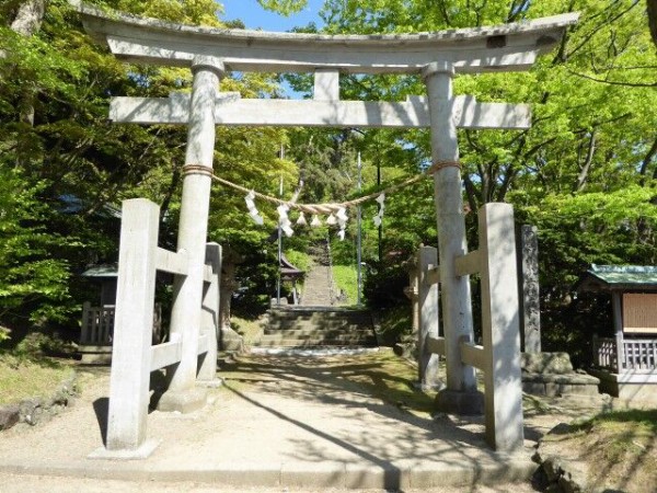 古四王神社 （秋田市） : くぐる鳥居は鬼ばかり