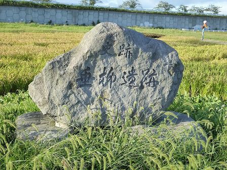 垂柳遺跡 （田舎館村） : くぐる鳥居は鬼ばかり